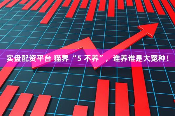 实盘配资平台 猫界 “5 不养”，谁养谁是大冤种！
