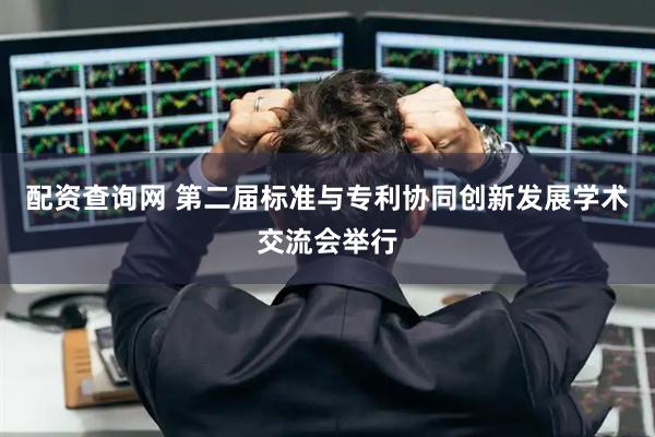配资查询网 第二届标准与专利协同创新发展学术交流会举行