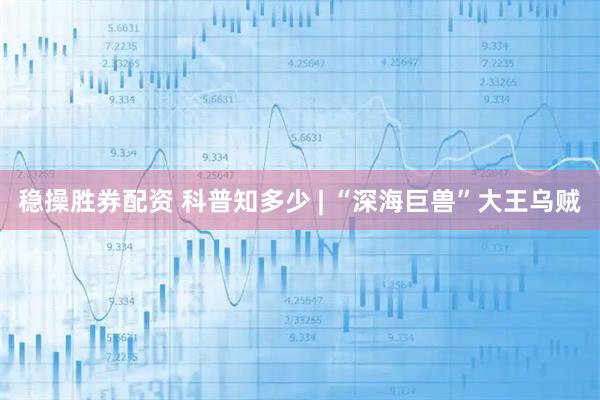 稳操胜券配资 科普知多少 | “深海巨兽”大王乌贼